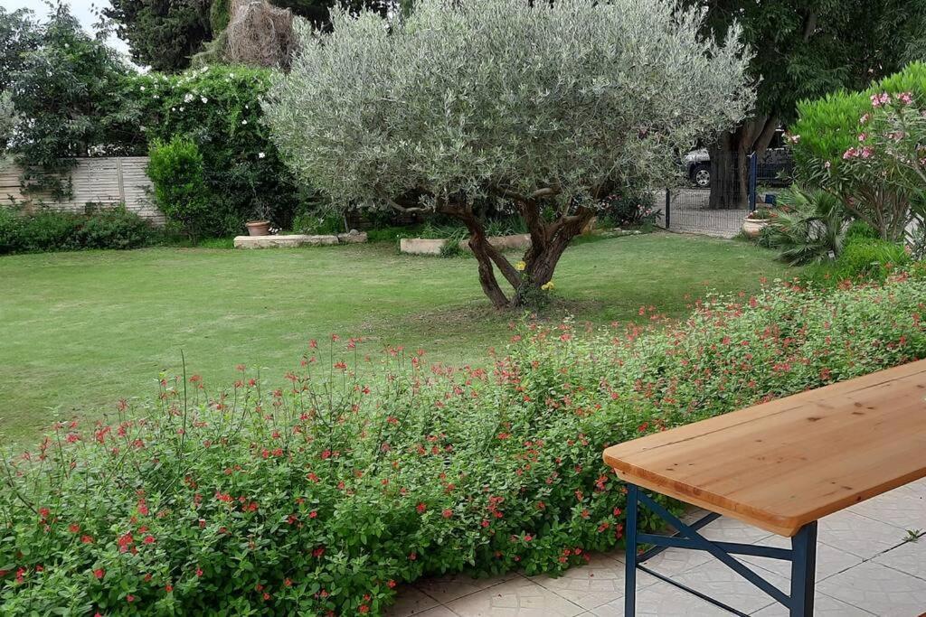 Villa L'Estel En Campagne Avec Piscine Privee Proche Arles Et Avignon Tarascon Εξωτερικό φωτογραφία